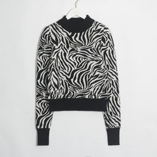 Load image into Gallery viewer, Wixra Pullovers Sweaters Zebra Print Long Sleeve Sweater For Women Knitted Slim Basic Casual Women's Clothing Autumn Winter